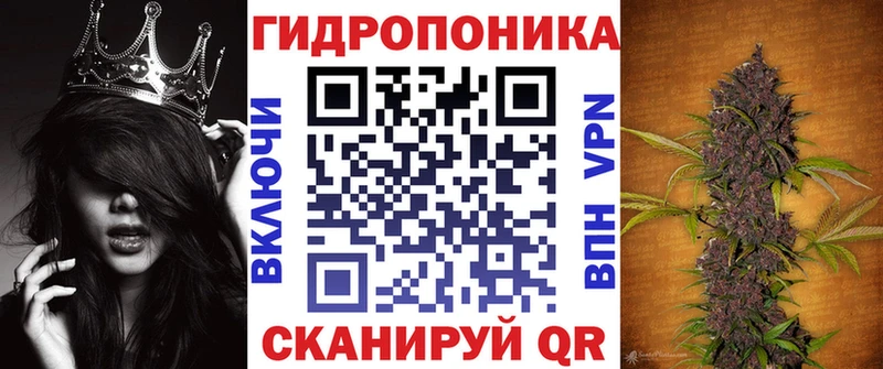 Шишки марихуана планчик Кингисепп
